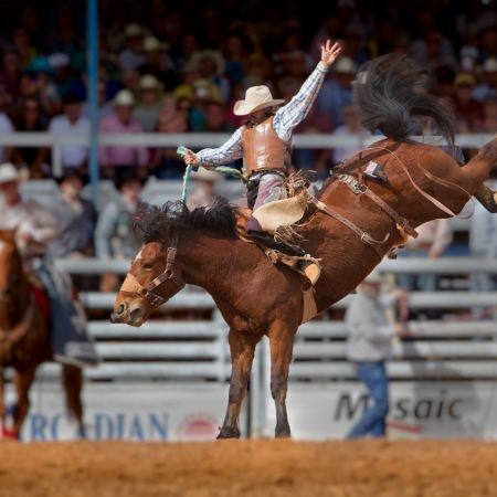 Brazoria County Fair